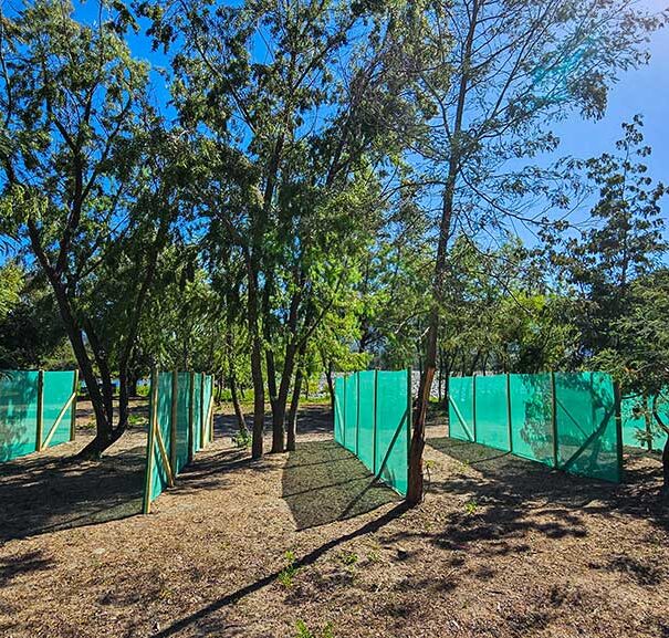 sitio-base-nabo-camp2